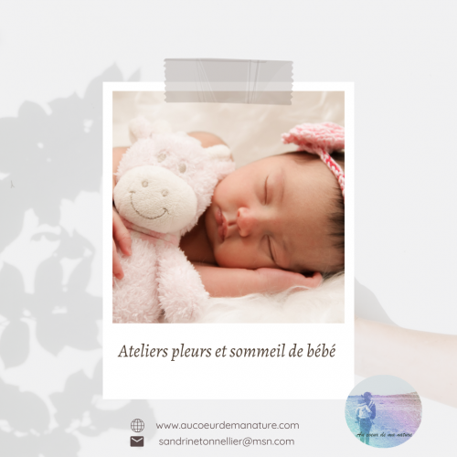Vos ateliers bientôt à Auxerre